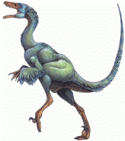 Troodon